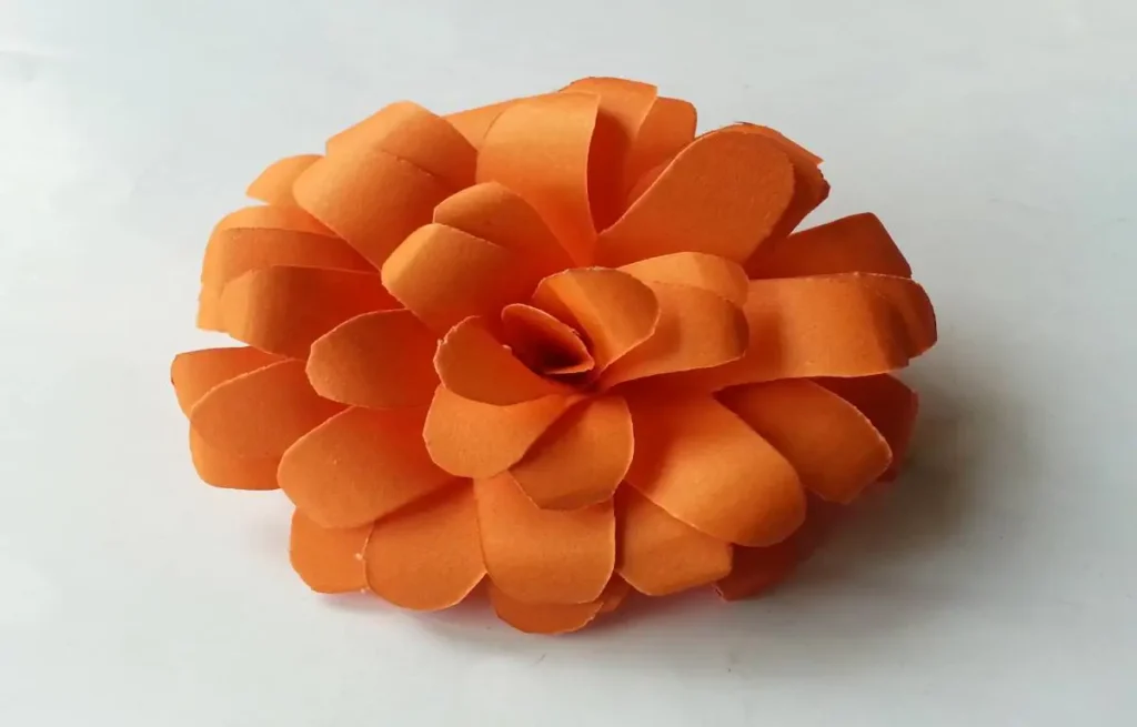 Paper folding tricks to cut 8 petal shapes