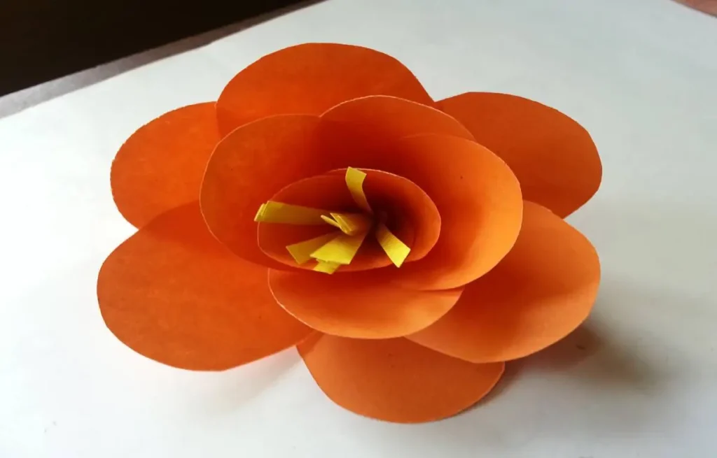 Rounded petal shaping using paper flowers folding tricks